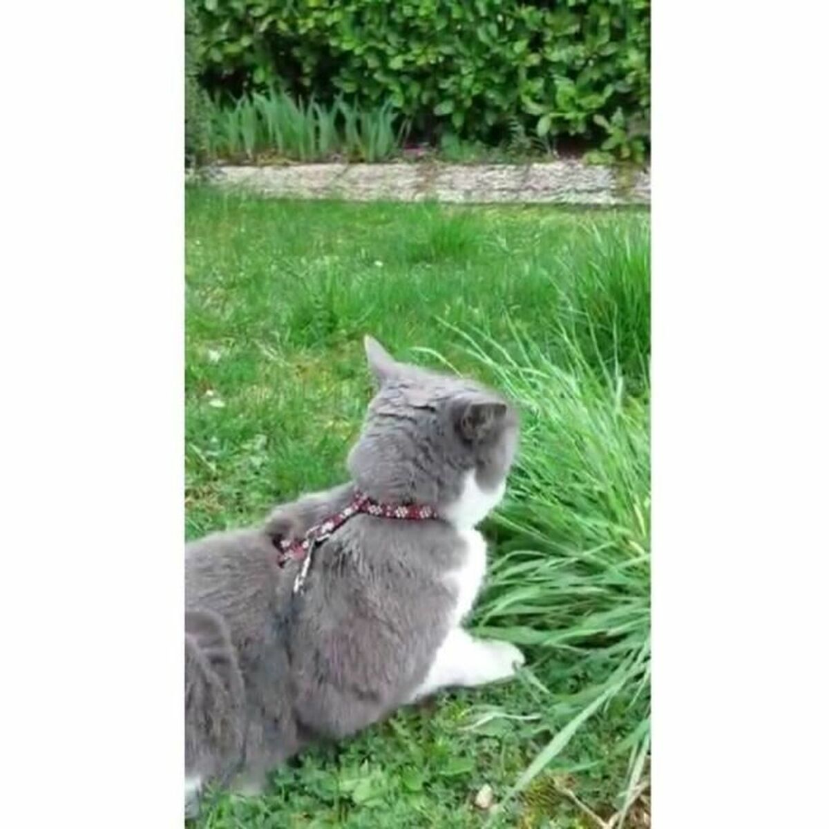 V3HEA88F7DB7AA831B6AC42A186FCB6484FR5779231P4