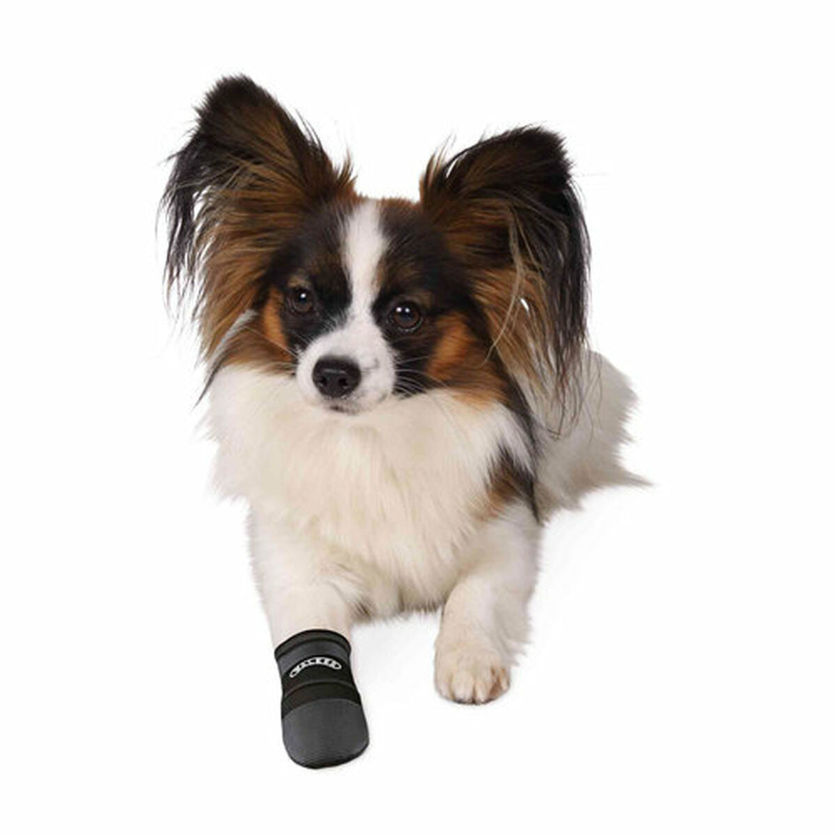 V3H0CB2E0B1947C1D04AA33BF78A0B105DCR7440610P4