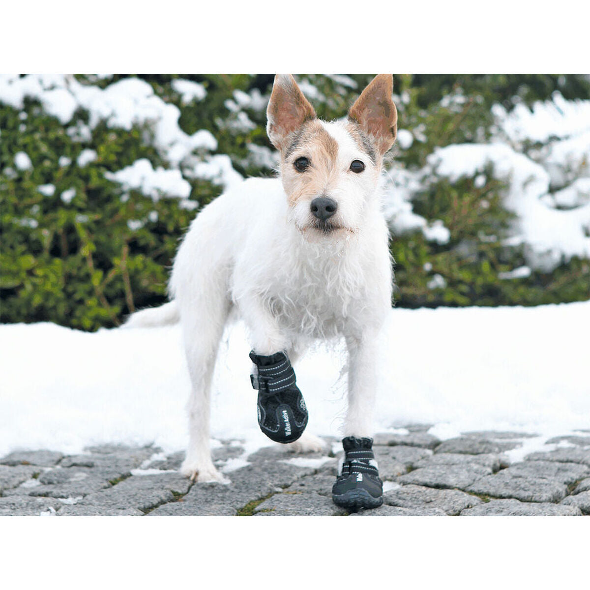 V3H3AE87FD91424D9DE777ECFA641F654E6R7439834P3