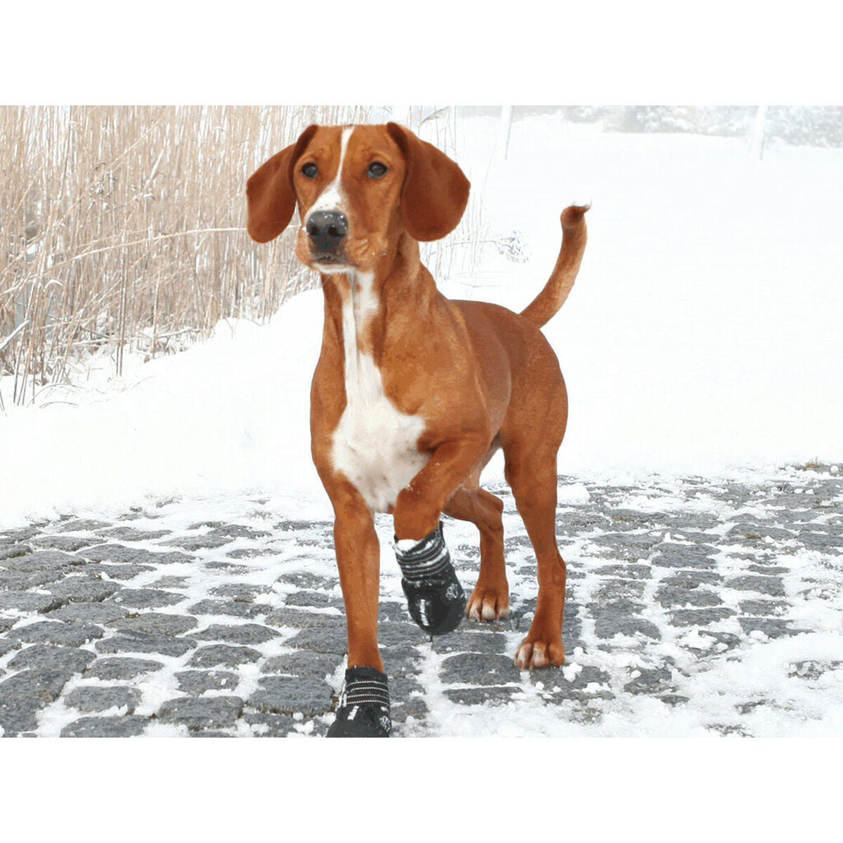 V5HB9A192297F7242F48A946A04B69FA6FBR7439644P3