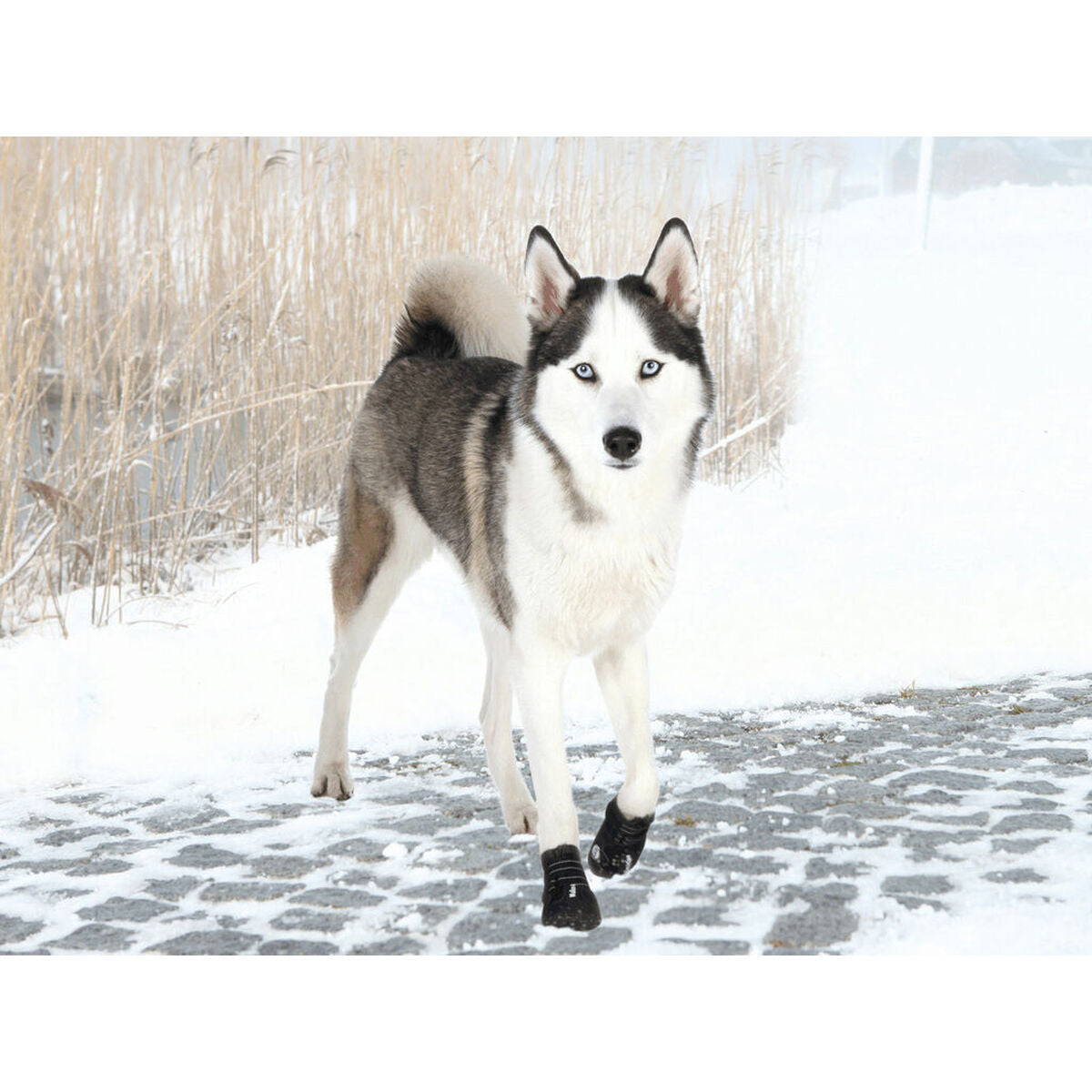 V3HD80E41F39B328607ADEB3A84A7E6D450R7439950P3