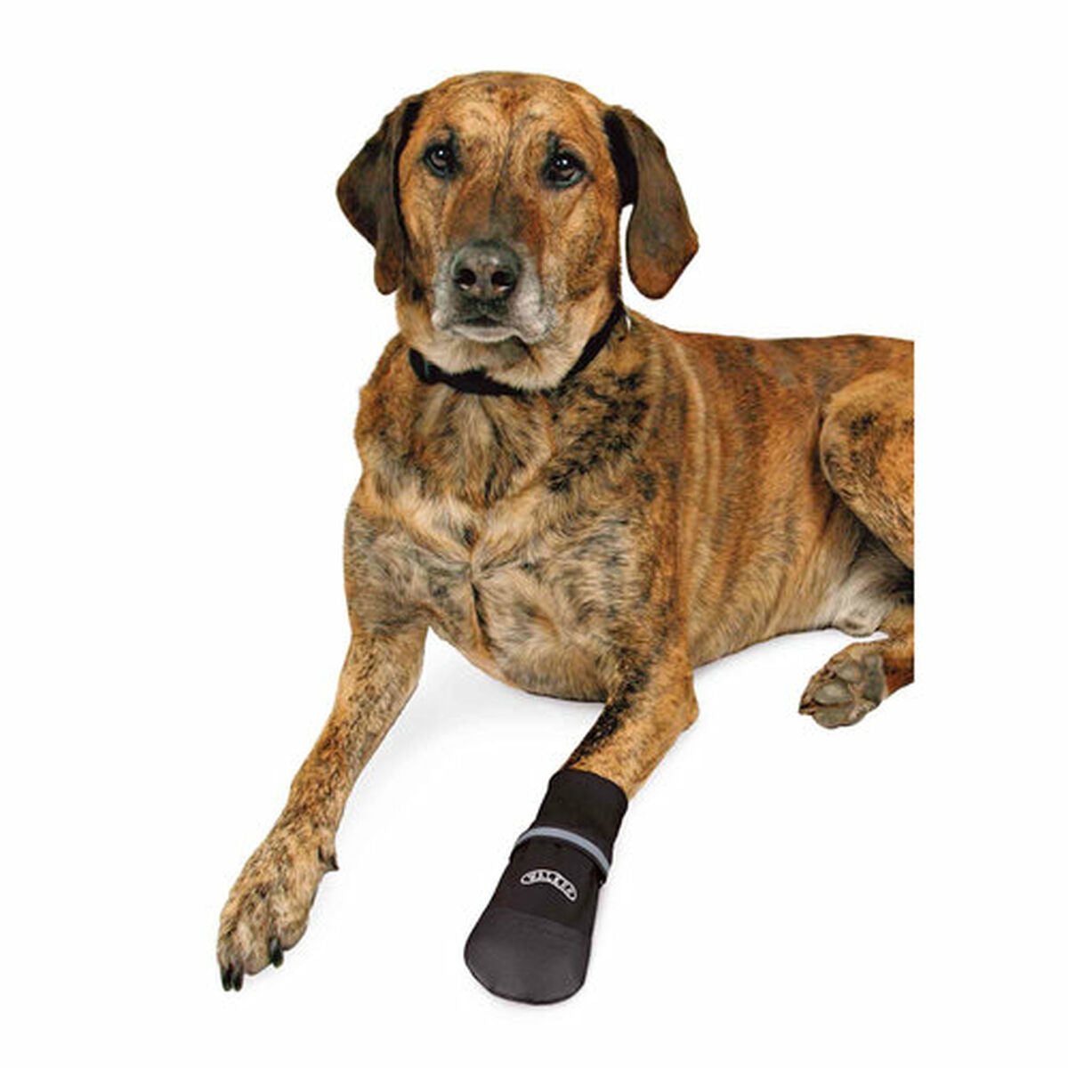 V5HCBBCC5072EDAC55B1C0467535D7C7BFER7440491P4