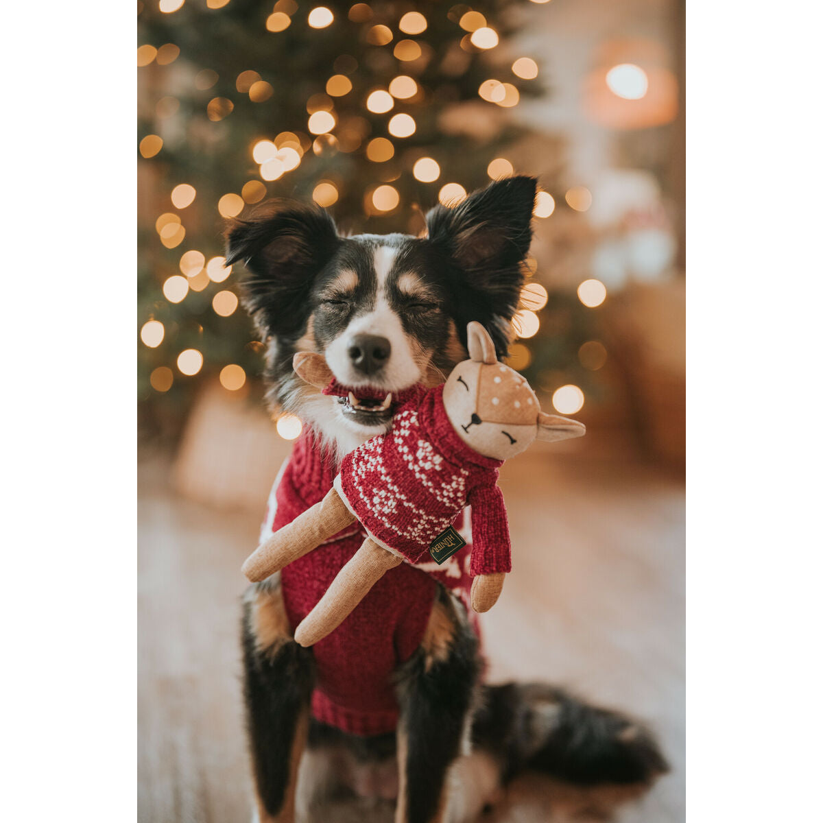 V5HEA850EBC26BCD3C6D27F80194A92B636R5574730P4