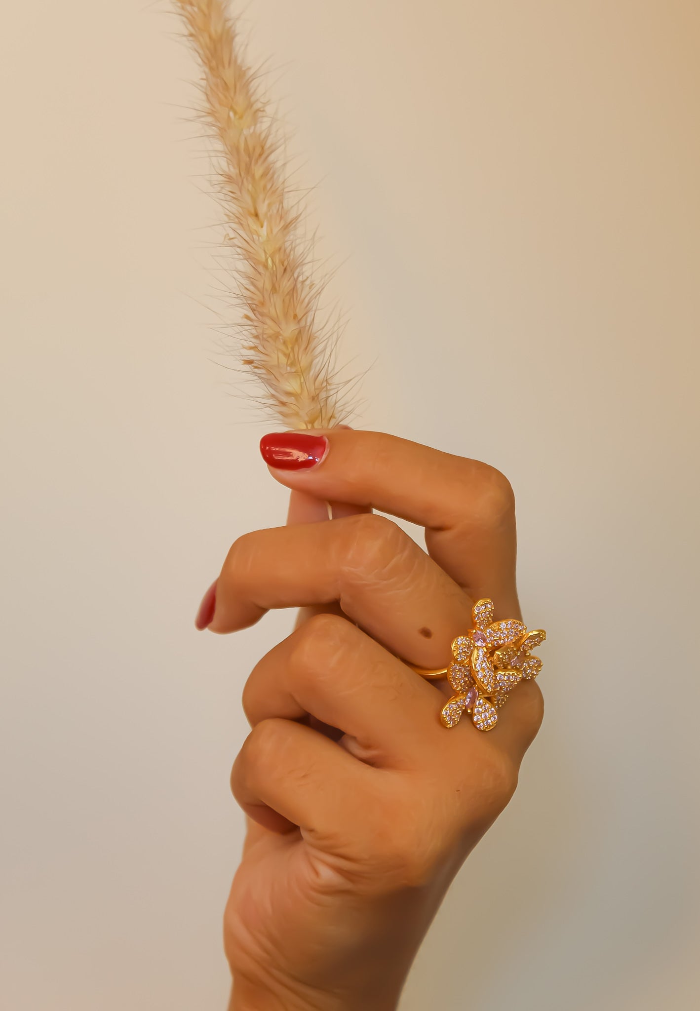 Anello farfalla africana