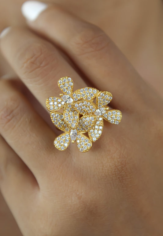 Anello farfalla africana