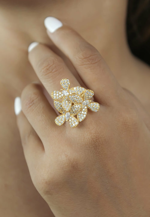 Anello farfalla africana