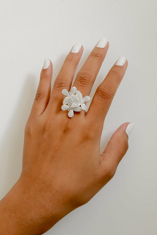 Anello farfalla africana