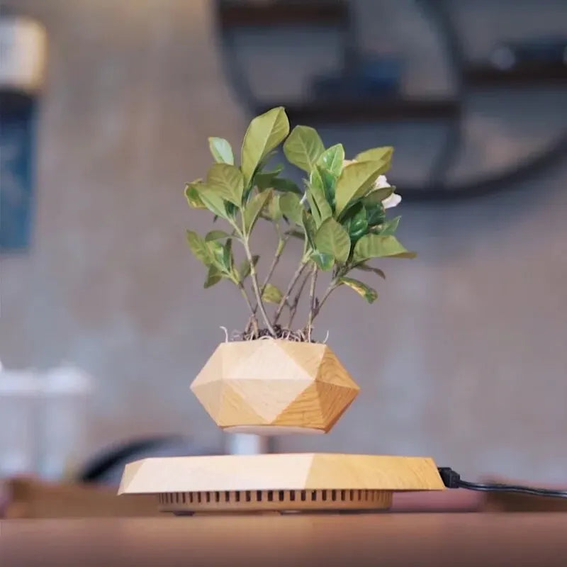 Vaso di fiori magnetico galleggiante