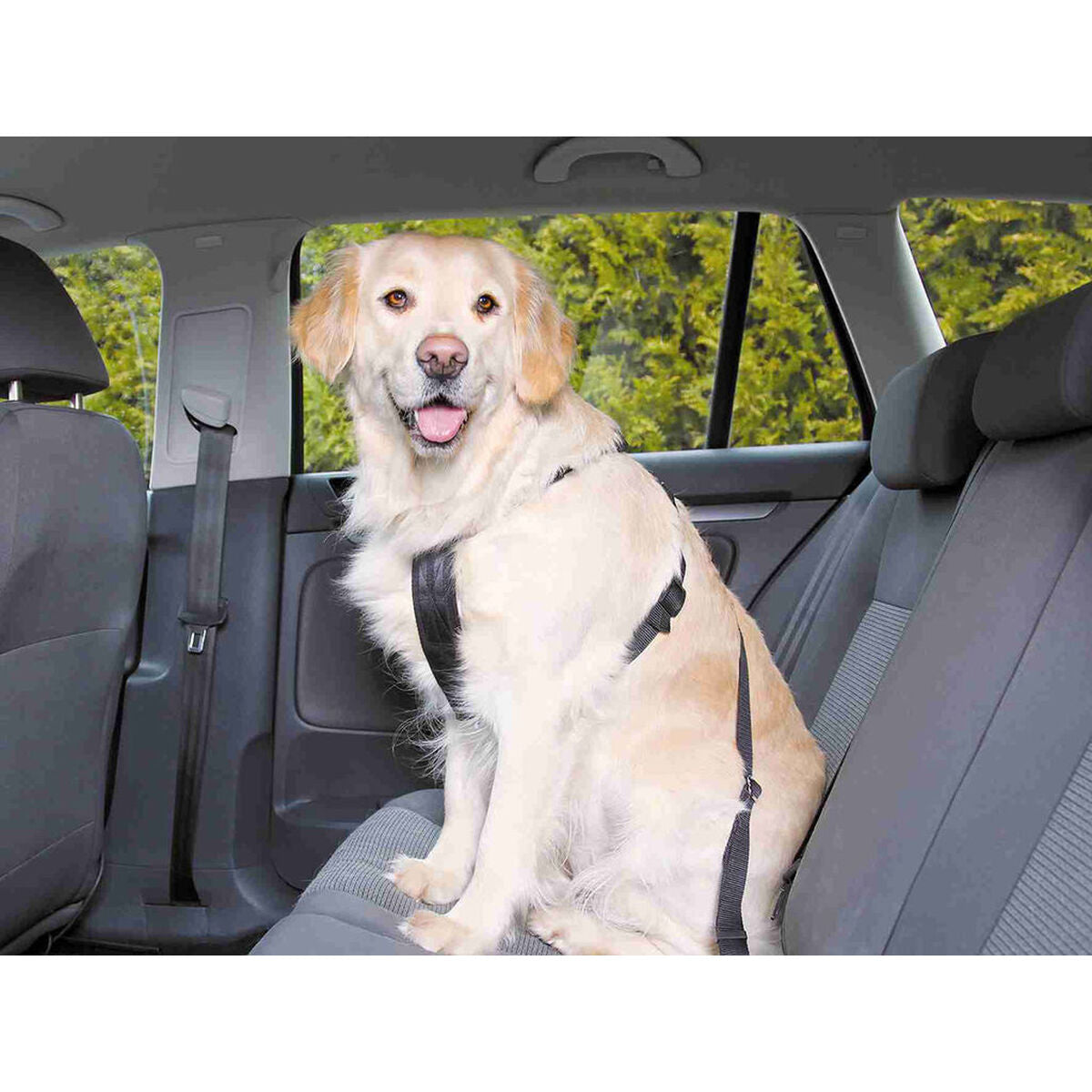 V6H9EB128808D392E442500C5866E7C28ADR7459724P3