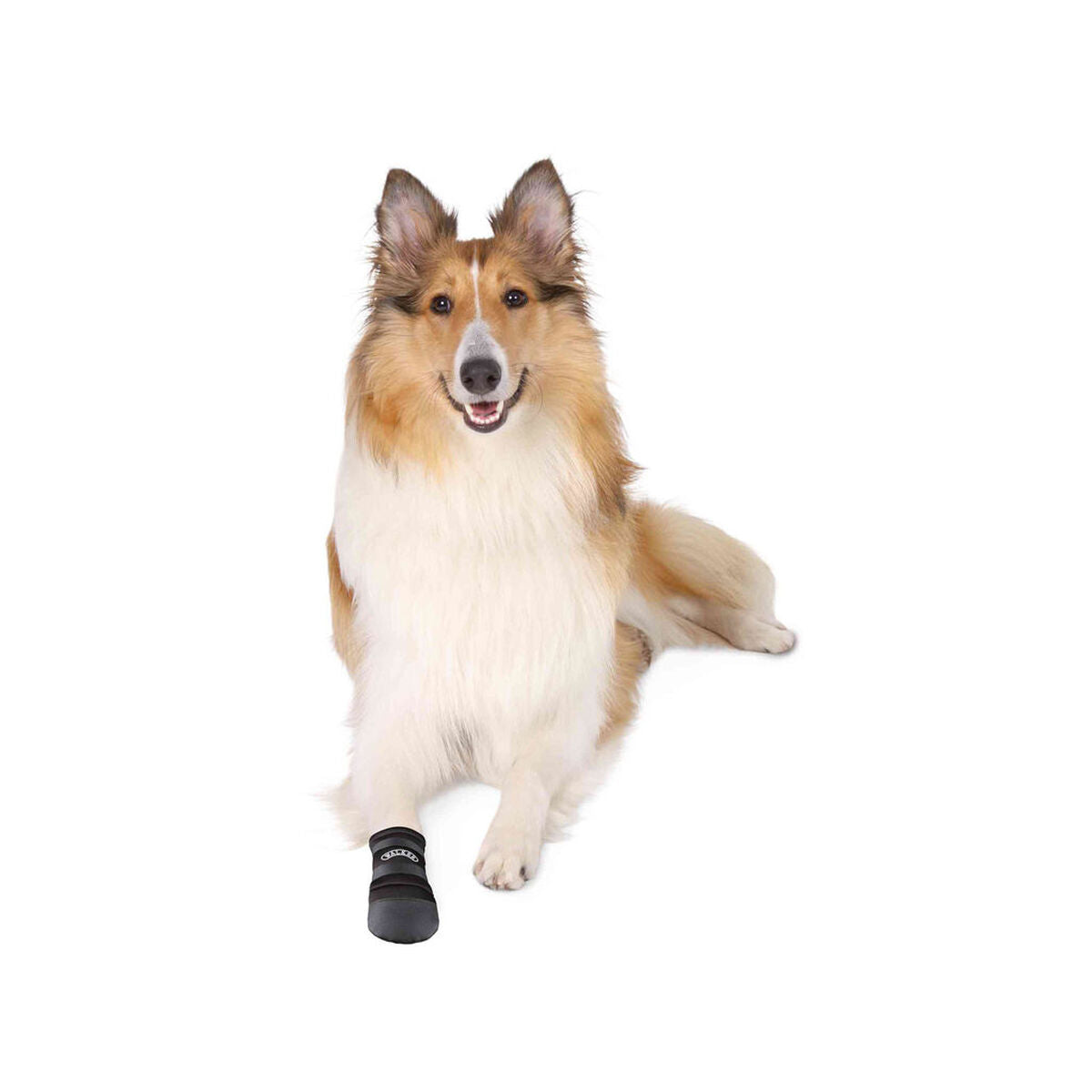 V3H672F2C3D901EA5E27715B8600458BE59R7441418P3