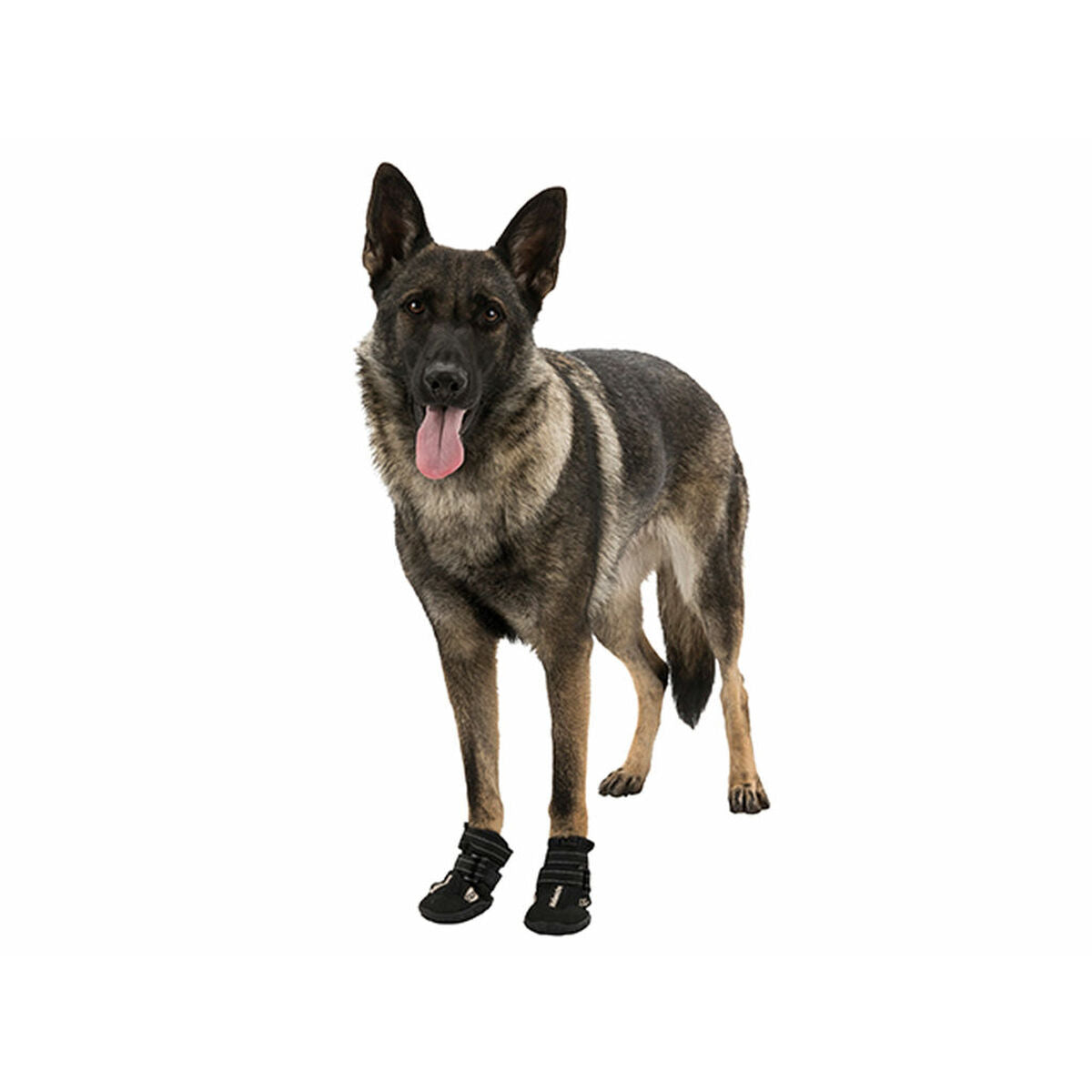 V3HC6616CF4D4BE612CE50FBDE4DBF83B10R7439958P5