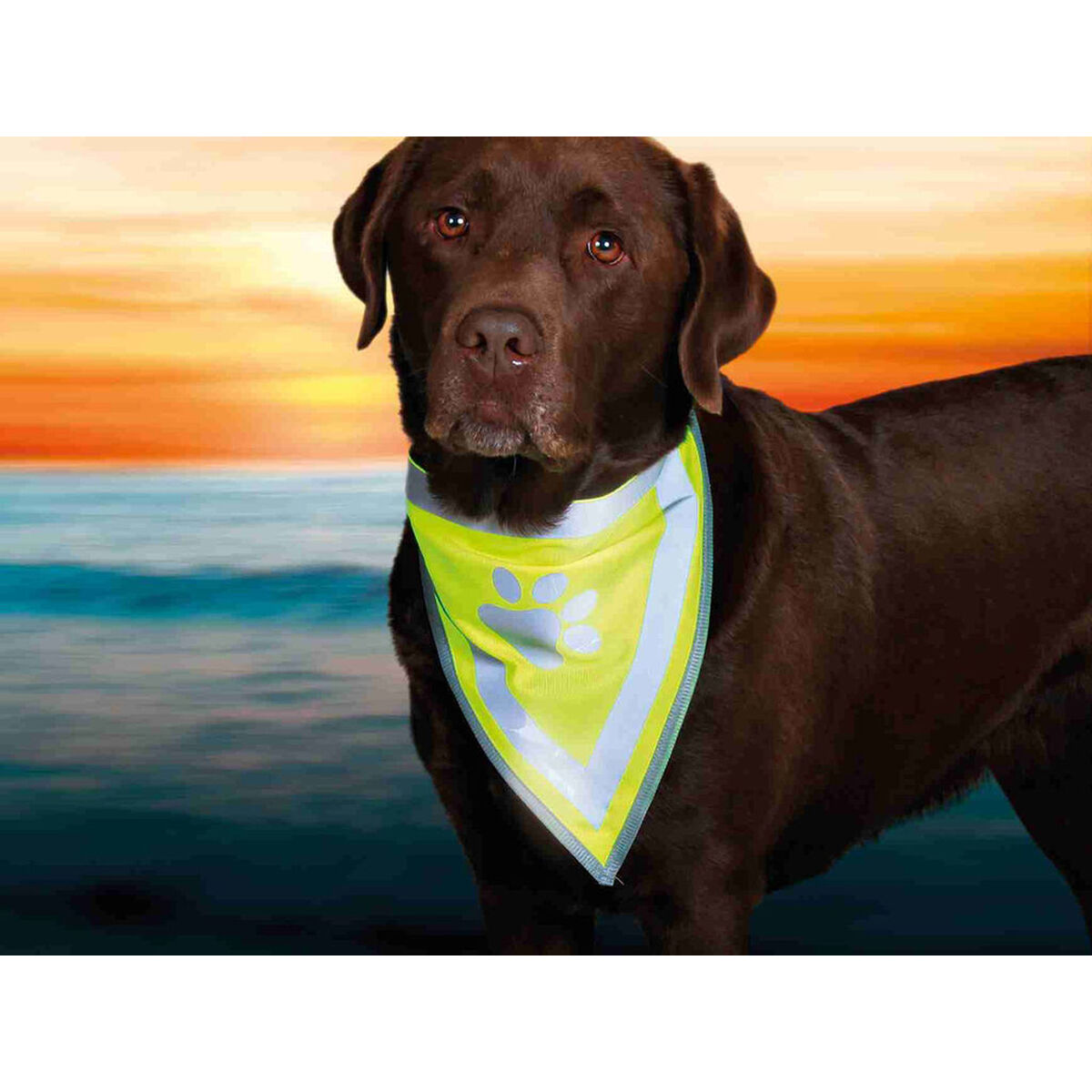 V4H93E7AB86B81215E35CF2F6BC55F3AF73R7439629P5