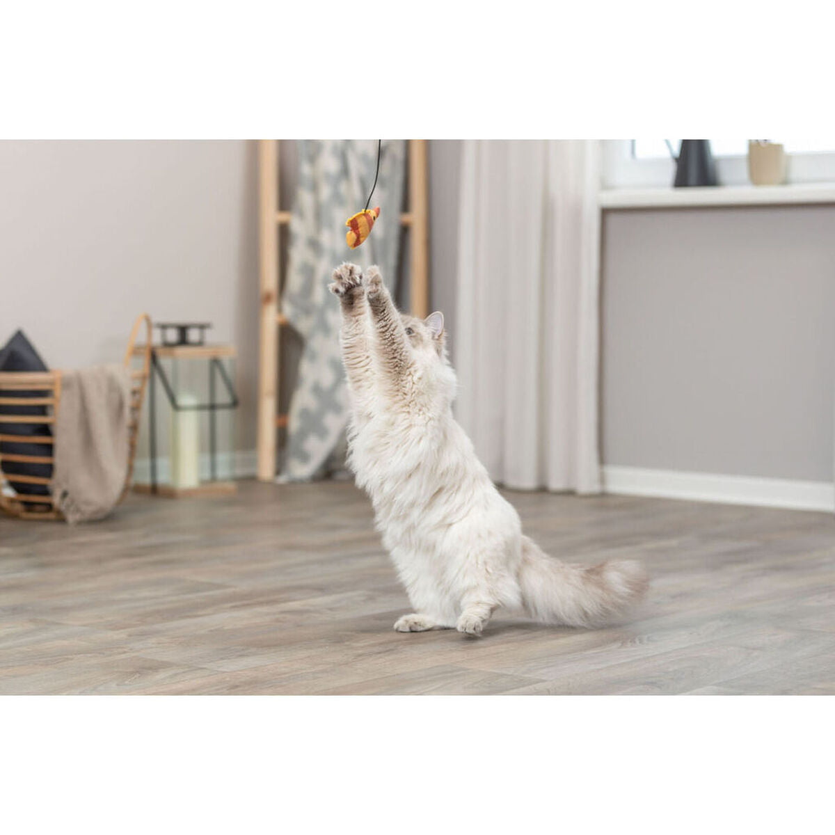 V4HB65D972CFA9E31EBCFC0DC3B22053FB1R7459583P5