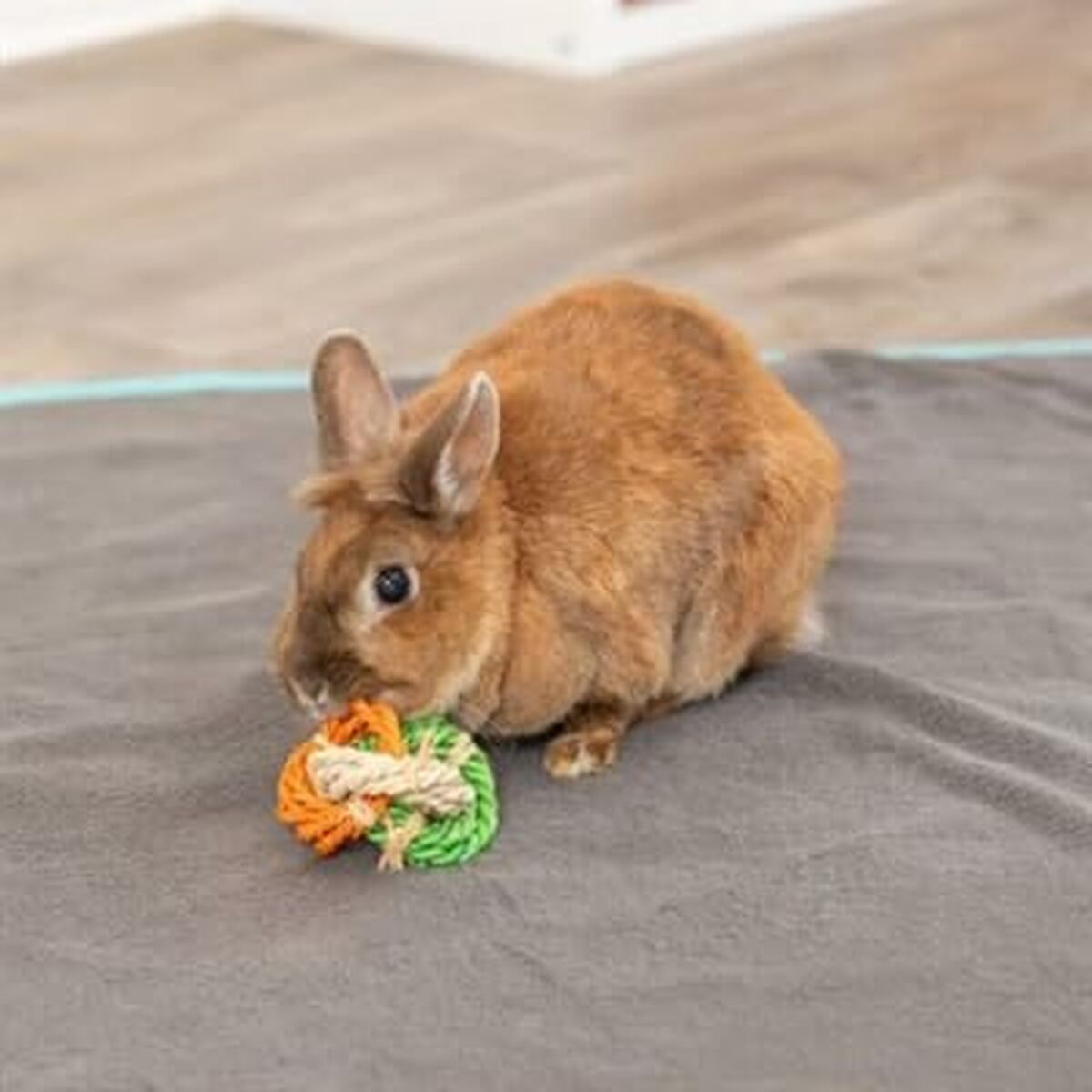 V7HD59376366369C0EF399C3DD5AFFB7893R5448864P3