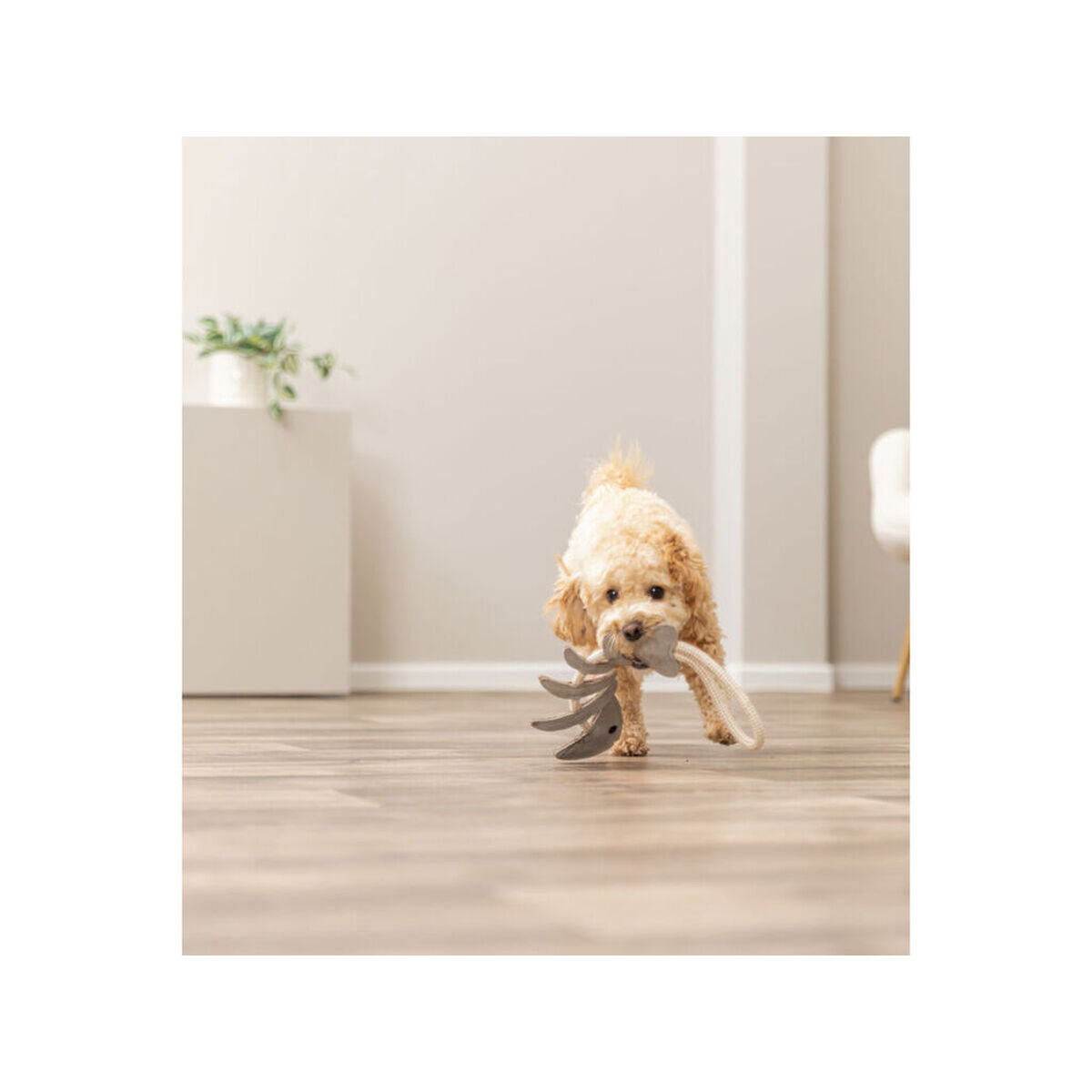 V3H0DF926E00BC16187AF4192217DC16A7ER7463016P5