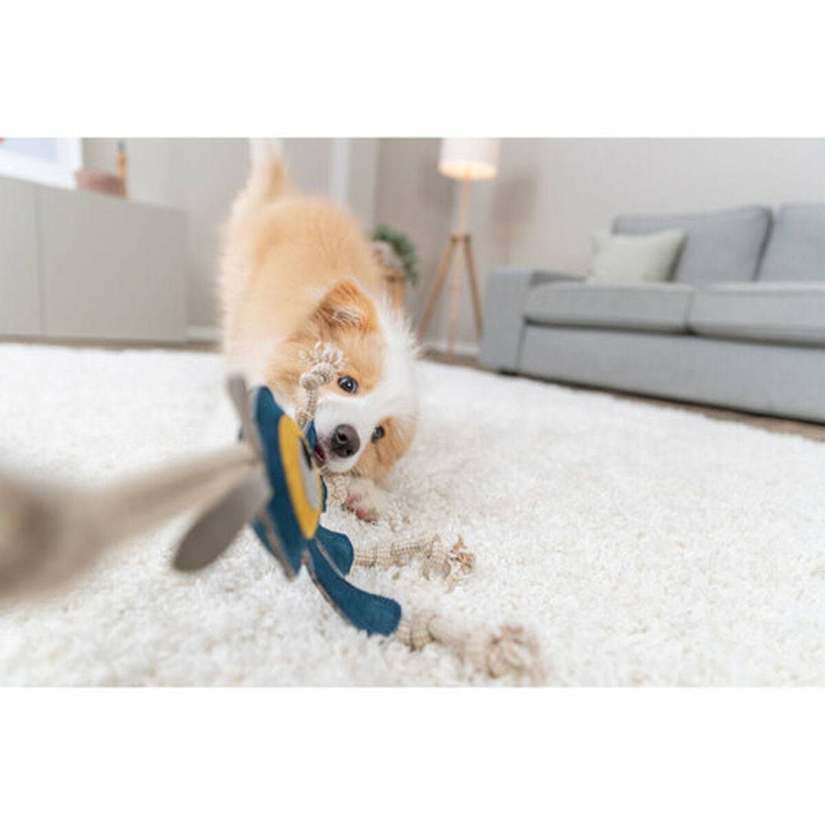 V3HBFF379D0B2EF9024FA497D1D25F31BFDR7449081P10