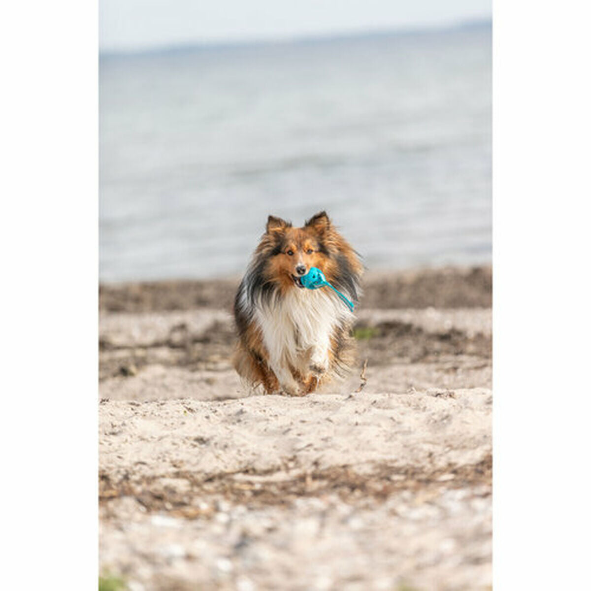 V5H62BCA9FA80CDE11CB64A7614D6AD6A55R7448909P8