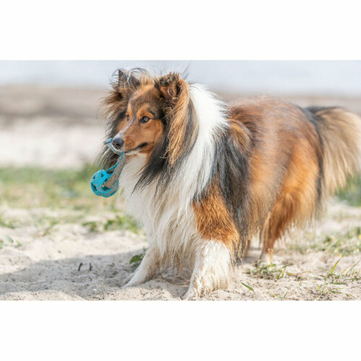 V5H38FAF6D242419E15C967A7529CB8635DR7448913P10