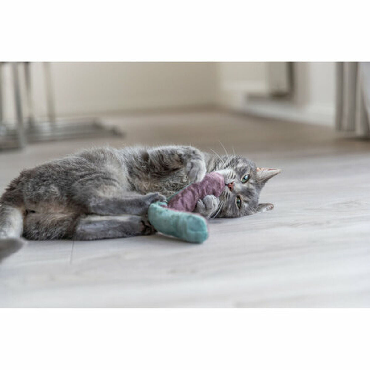 V3H9A52AB50623720CA7134C3C2967C5FE7R7462231P6