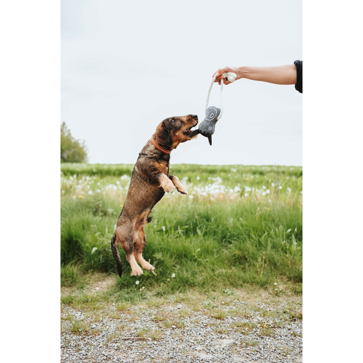 V5HD02842968CB81FCC1D78484E79519A1CR5574760P3