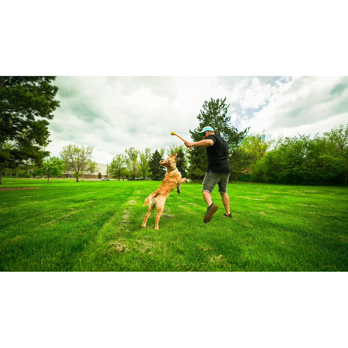 V6H89CDD0D4981F36CD8E639F7E4776CDC4R5333734P4