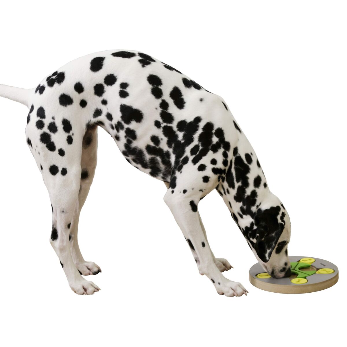 V2HF81B32BBDE3DFD819F7592CAD96775B7R7467984P4