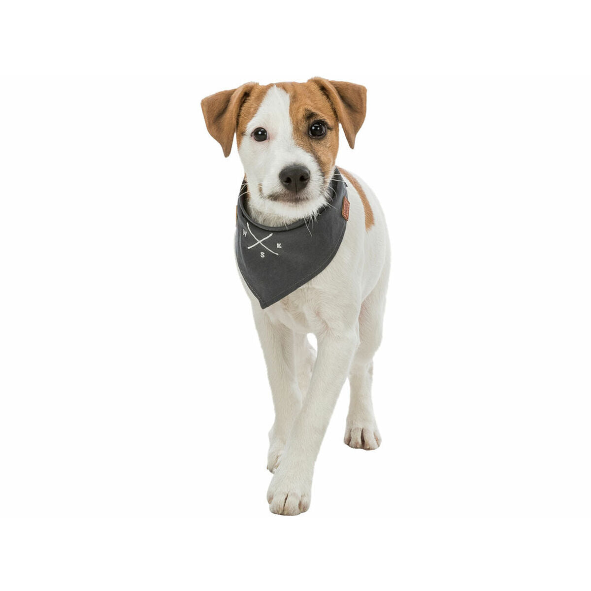 V6H0460AA04AD31295119ADE7340B1E0A28R7453692P7