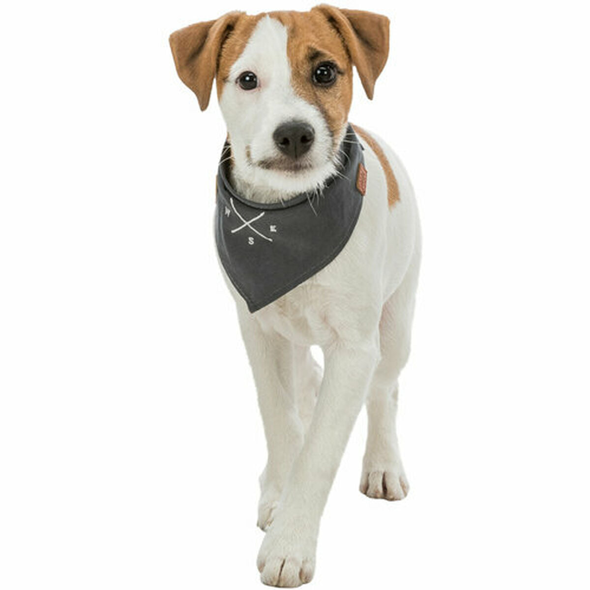 V6HC3D0ADC0C374CC8BECF21A1E05A93DC6R7453694P8