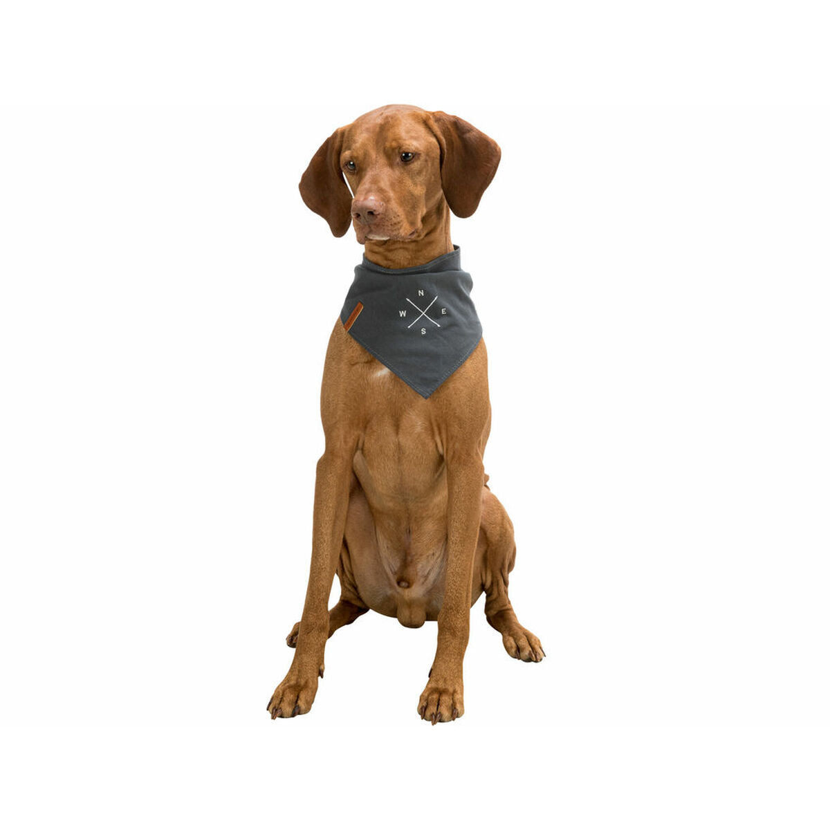 V6H697C662B17C285C01D164B6BB0245765R7453697P9