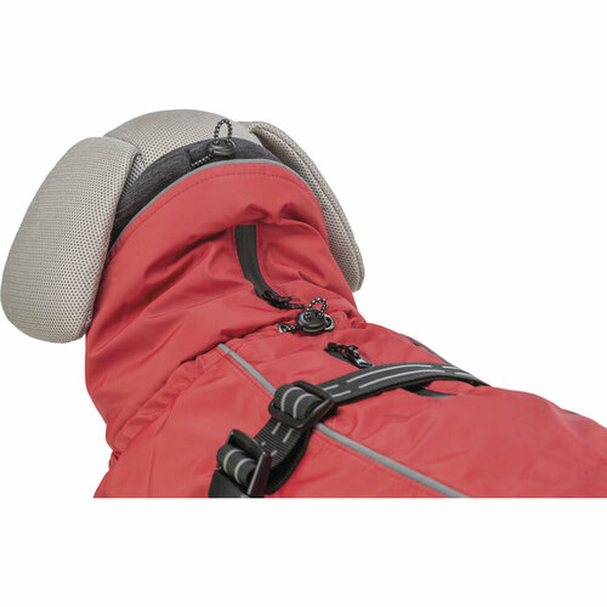 V5H596C06408FACA62FF6689E99FBB6A4C3R7463127P10