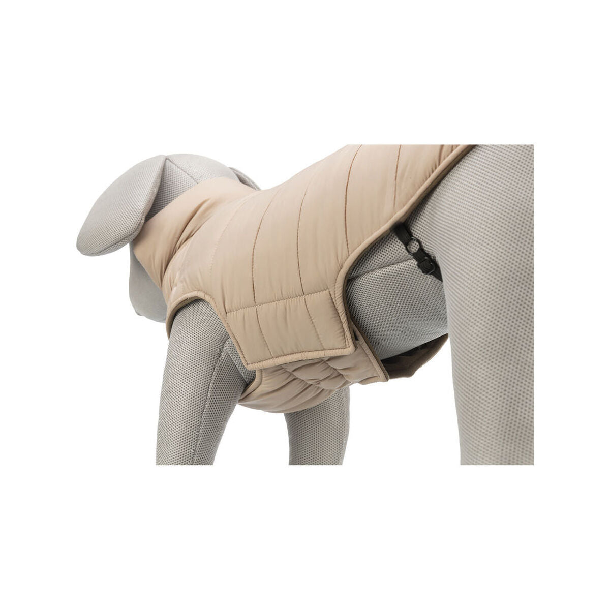 V5HED5FAD9CF6CA7F7FD8B77D33DB1A6FABR7461134P7