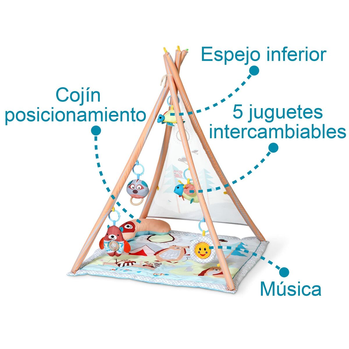 V4HE29161A781BB9367491A4B9F00EFA5CFR7258333P6