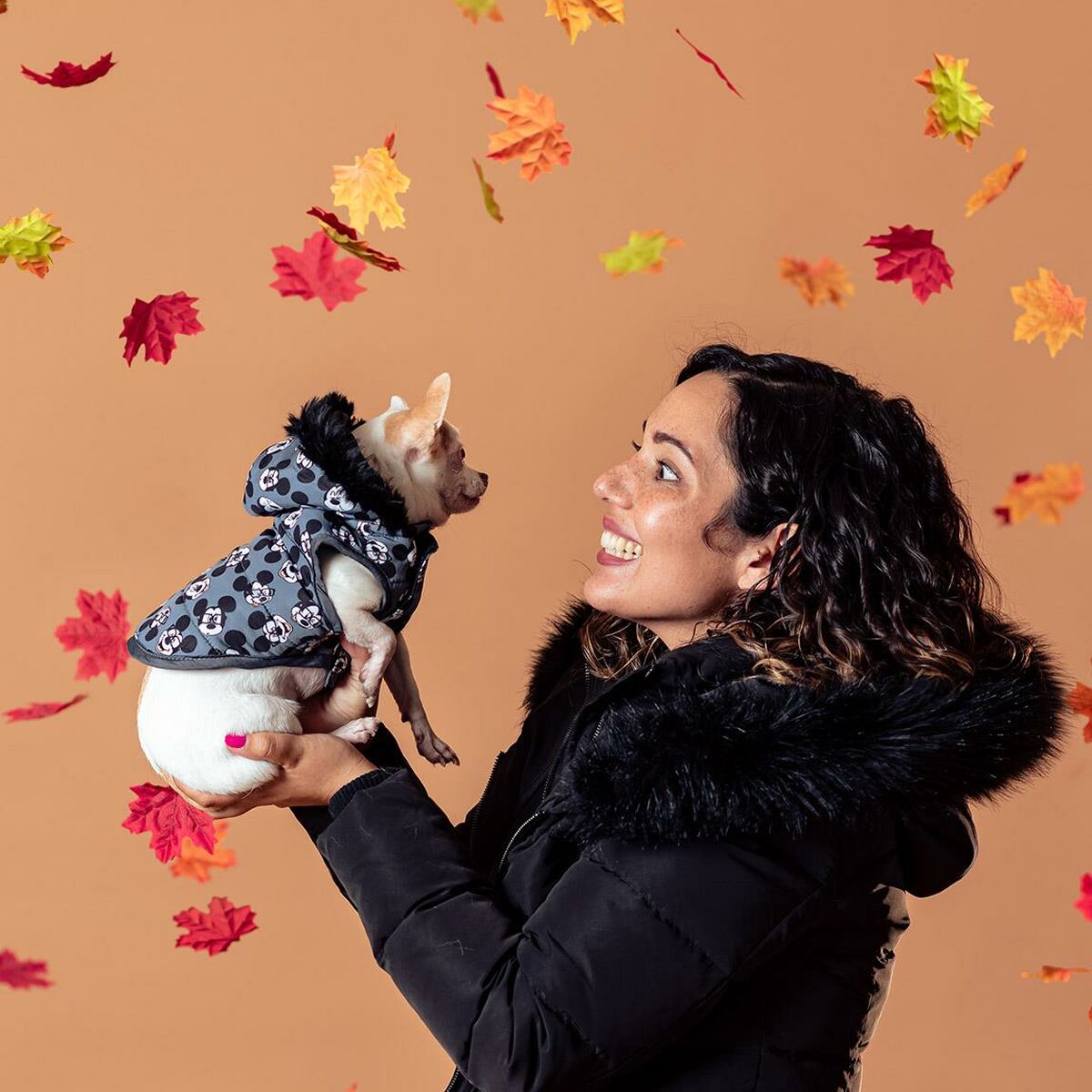 V11H26E0504CFF3281BC922734BDE19B0524R6604557P6