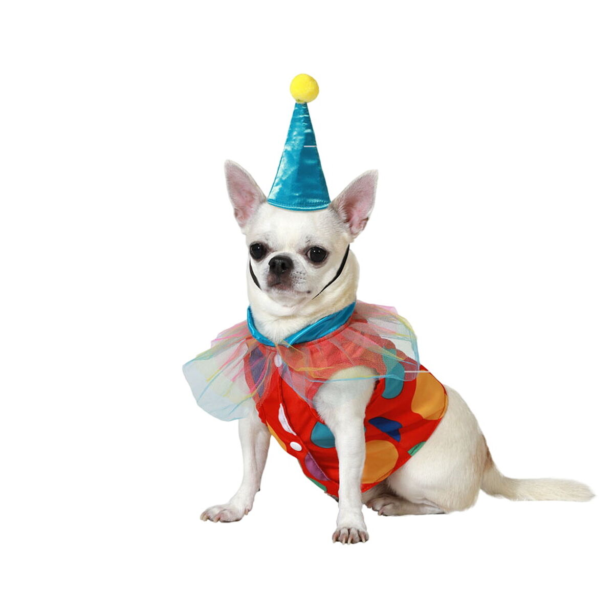 V8H3201D1D50946B578434F2DFB3E57AE5DR5072397P1