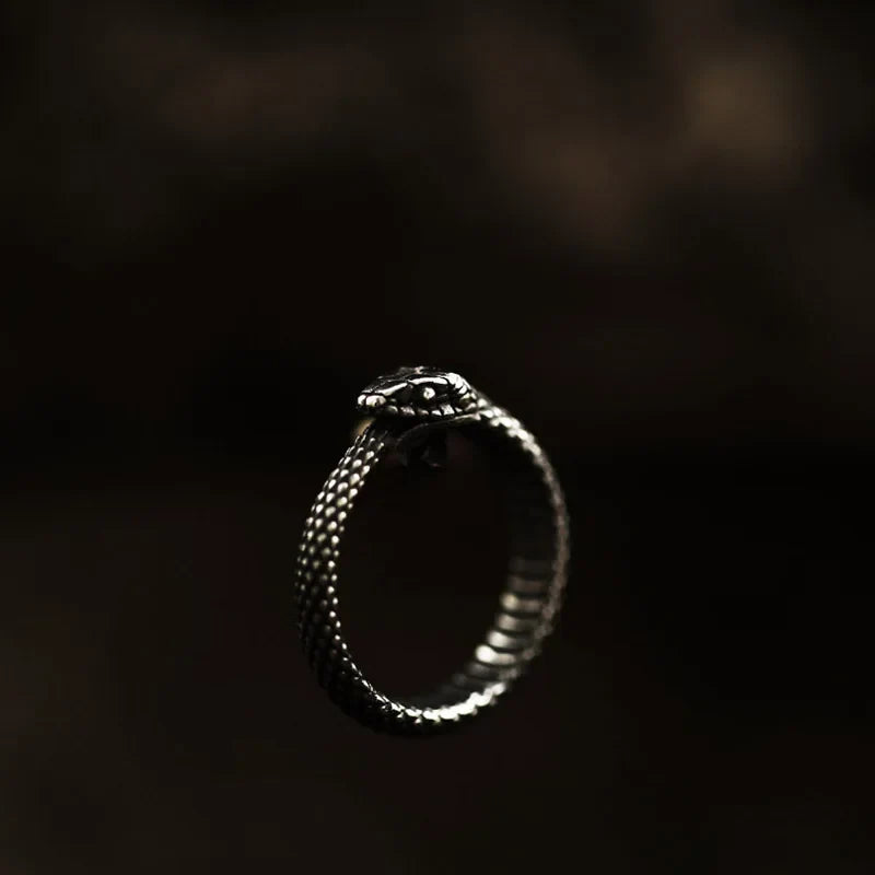 Stainless Steel Round Gothic Snake Ring