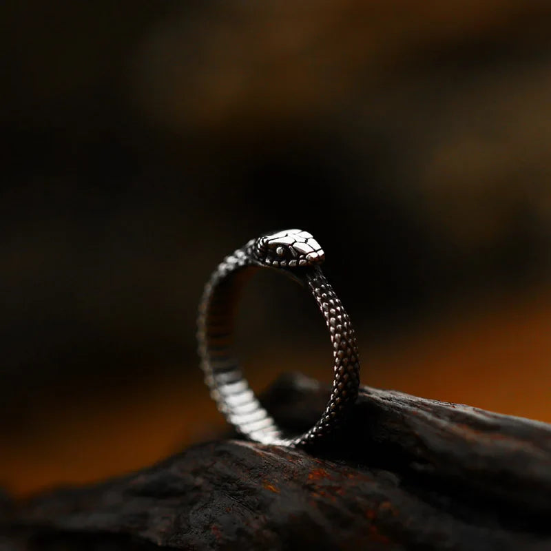 Stainless Steel Round Gothic Snake Ring